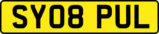 SY08PUL