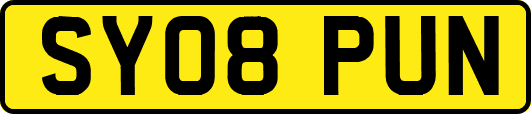 SY08PUN