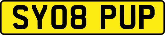SY08PUP
