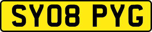 SY08PYG
