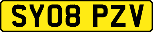 SY08PZV