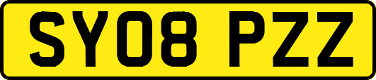 SY08PZZ