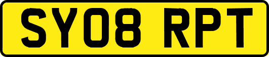 SY08RPT