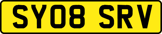 SY08SRV