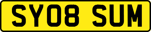SY08SUM