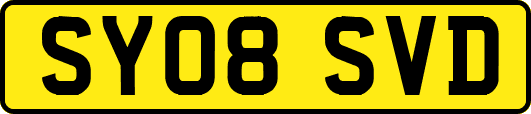 SY08SVD
