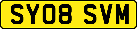 SY08SVM