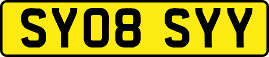 SY08SYY