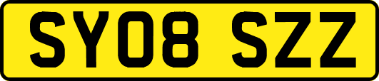SY08SZZ
