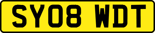 SY08WDT