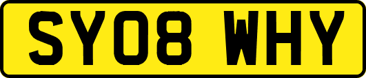 SY08WHY