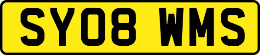 SY08WMS