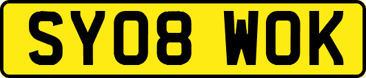 SY08WOK