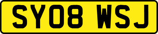 SY08WSJ