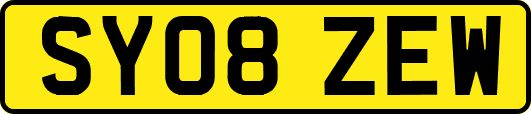 SY08ZEW