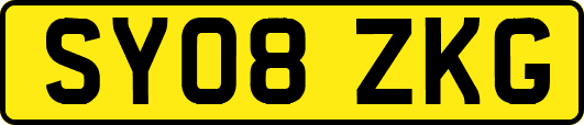 SY08ZKG