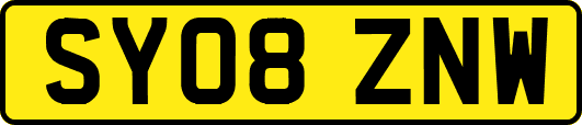 SY08ZNW