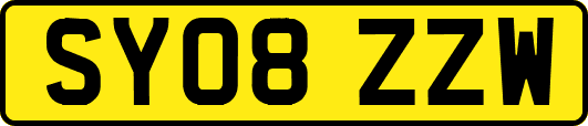 SY08ZZW