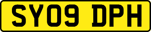 SY09DPH