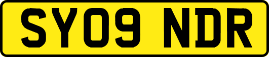 SY09NDR