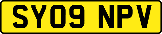 SY09NPV