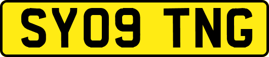 SY09TNG
