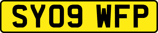 SY09WFP