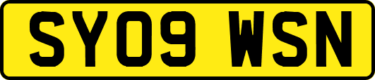 SY09WSN