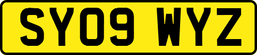 SY09WYZ