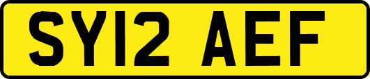 SY12AEF
