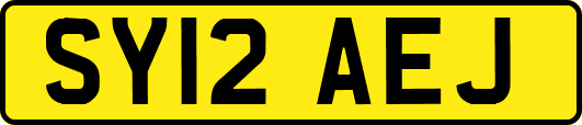 SY12AEJ