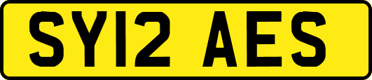 SY12AES