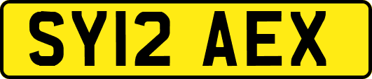 SY12AEX