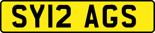 SY12AGS