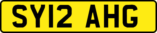 SY12AHG