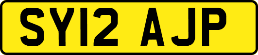 SY12AJP