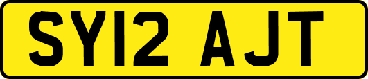 SY12AJT