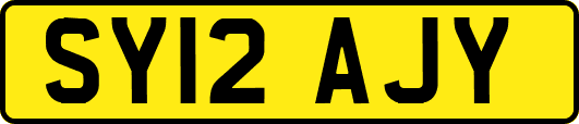 SY12AJY