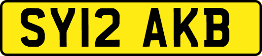 SY12AKB