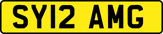 SY12AMG