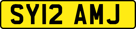 SY12AMJ