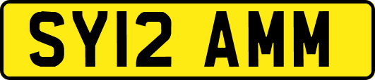 SY12AMM