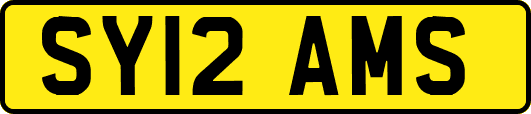 SY12AMS
