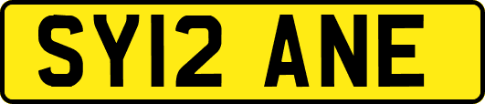 SY12ANE