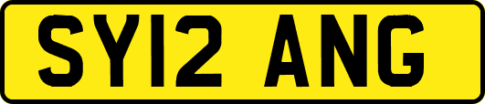 SY12ANG