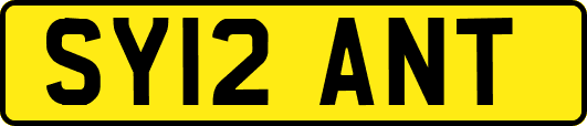 SY12ANT