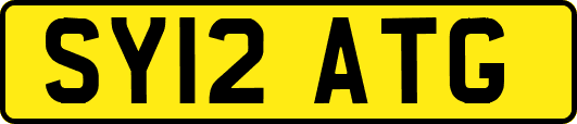 SY12ATG