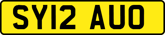 SY12AUO