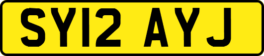 SY12AYJ