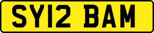 SY12BAM